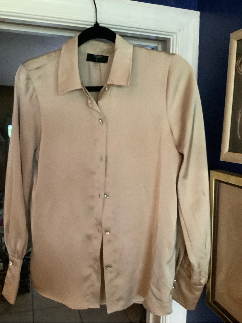 Tahari Champagne Satin Rhinestone Button-Front Blouse